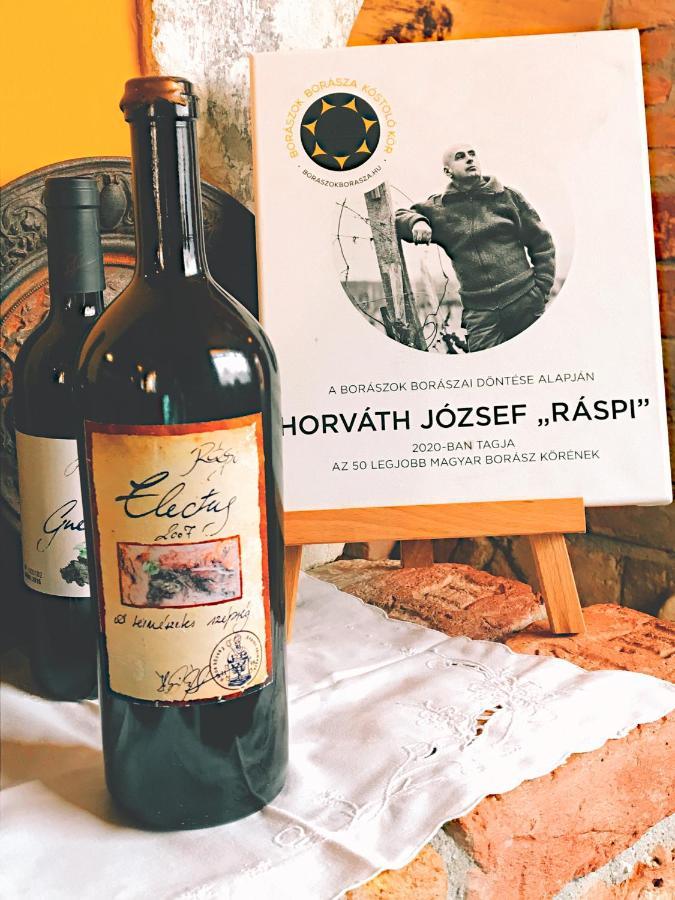 Raspi Apartman Etterem Es Boraszat Fertőrákos Exteriér fotografie